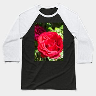 Red Rose Baseball T-Shirt